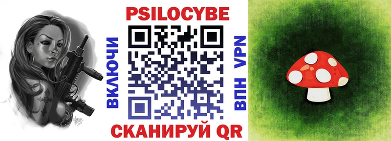 Псилоцибиновые грибы Psilocybe Верхняя Салда